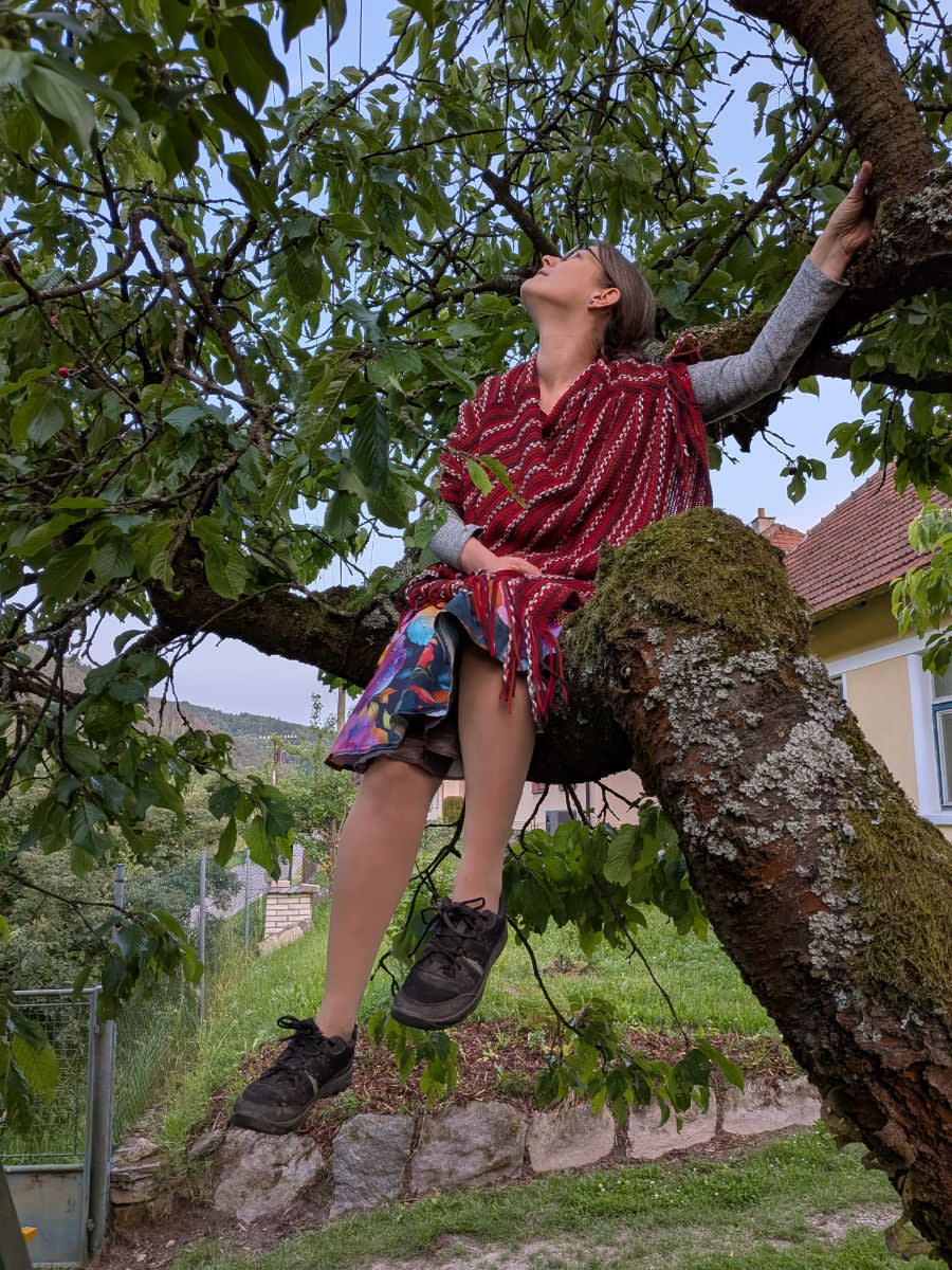 Sbírání třešní