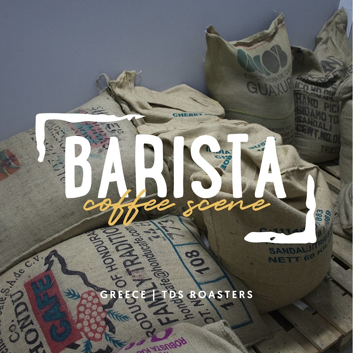 Barista | TDS Coffee Roasters