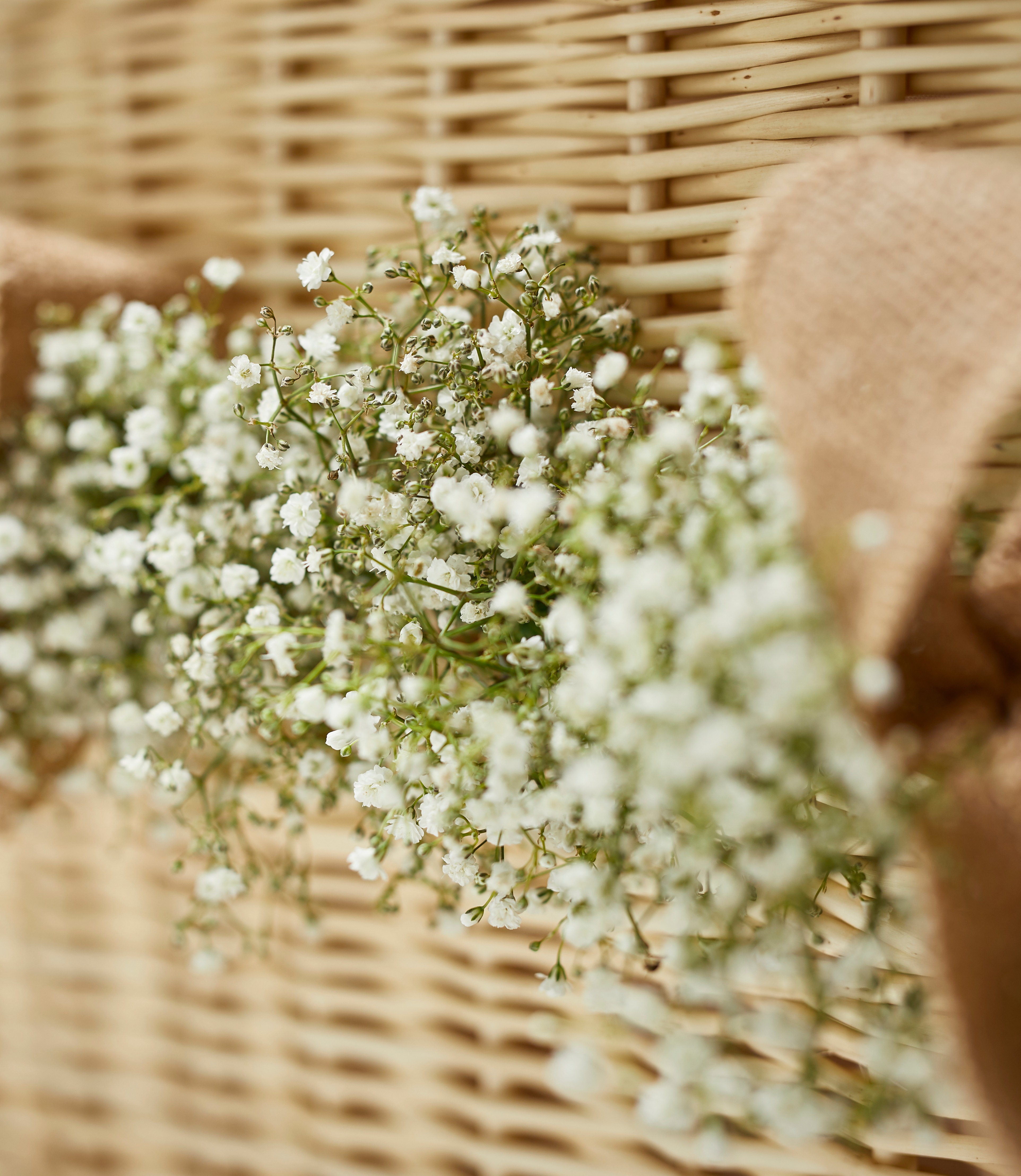 Gypsophila Garland Coop Funeralcare
