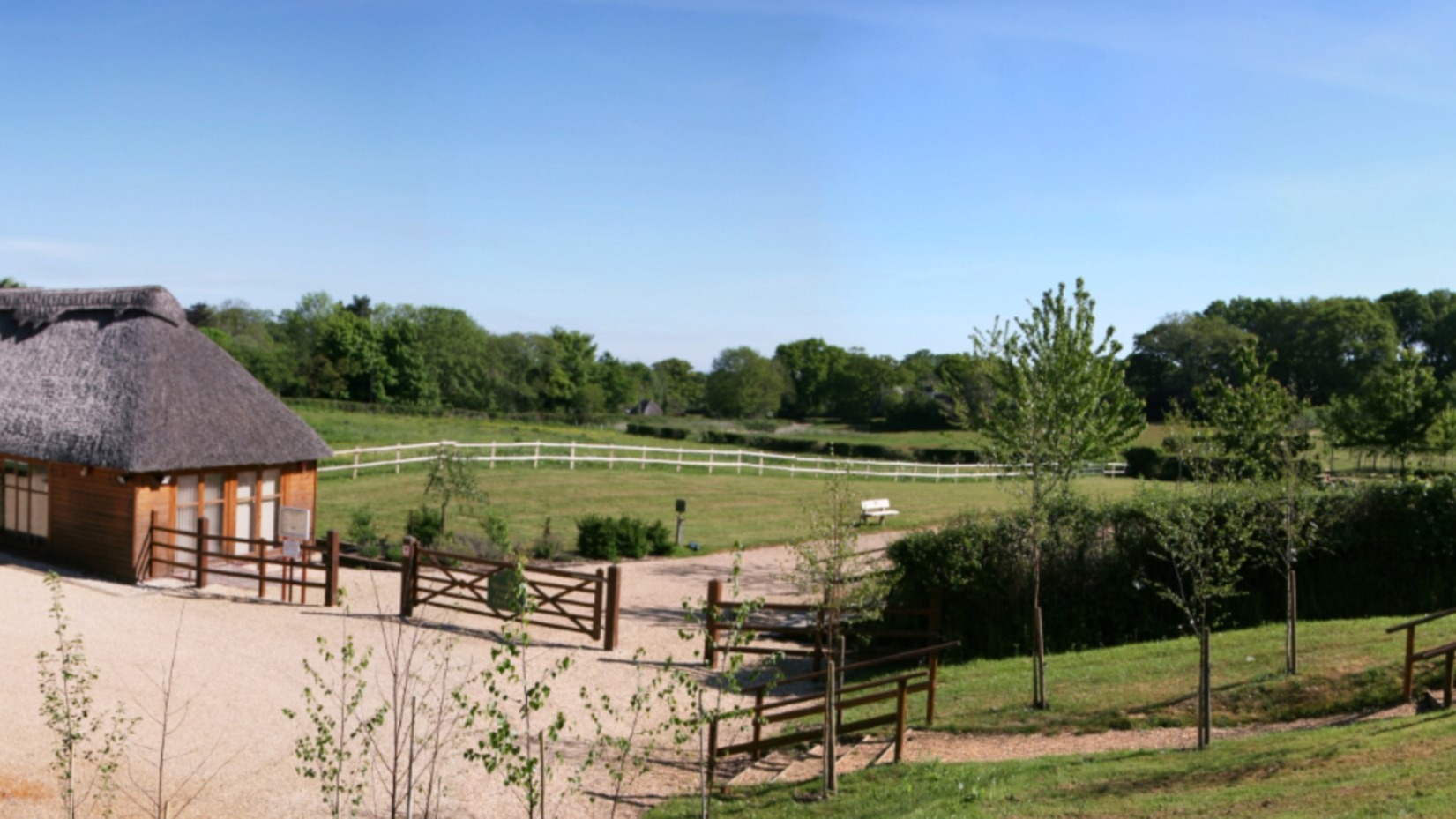 Picturesque park on a summers day. 