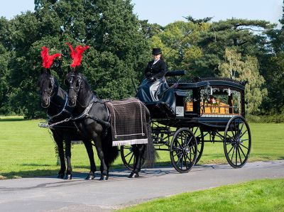 Glass horse drawn hearse with a coffin stopped in parkland with black horses and red plumes