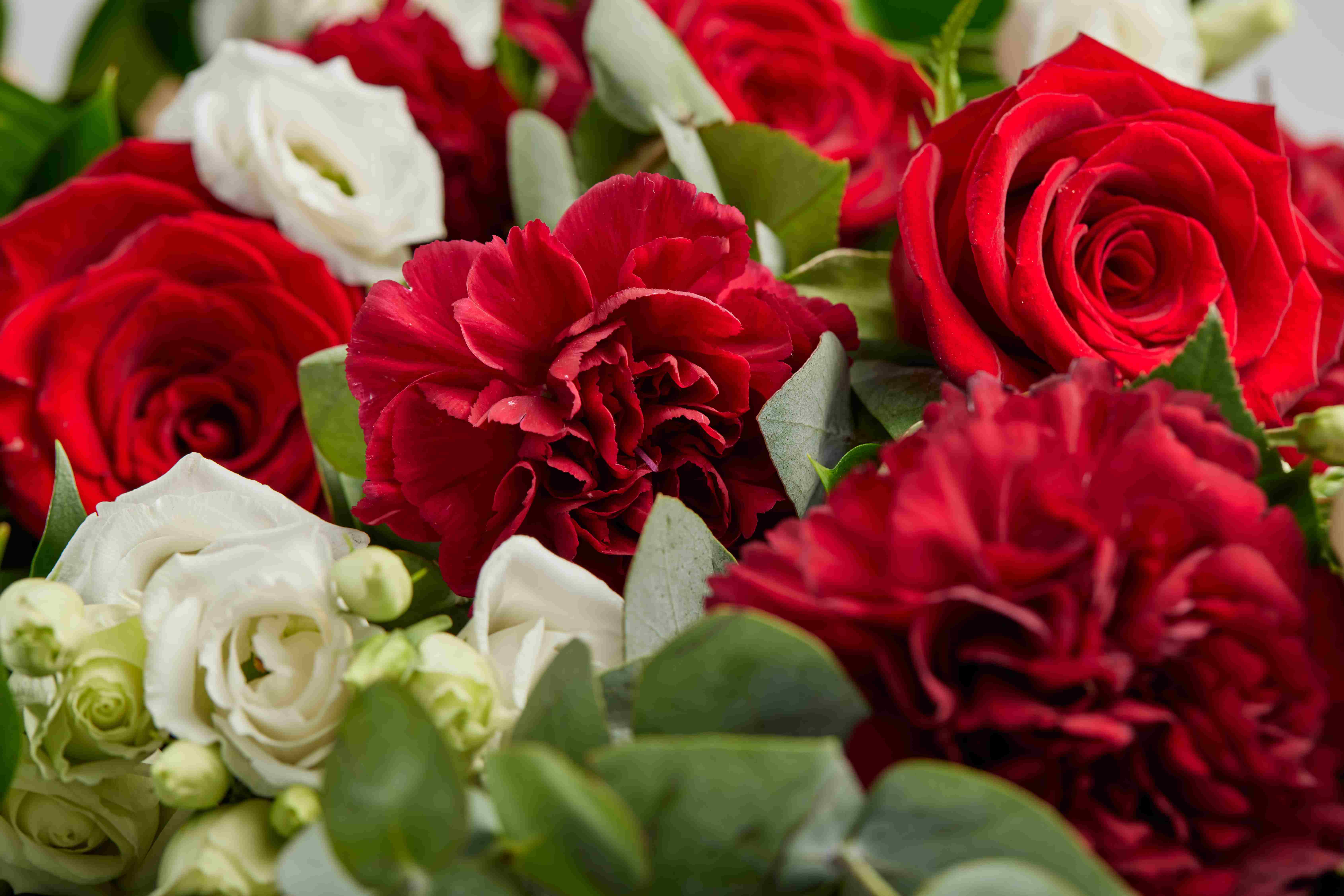 COP93966 ClassicHandTiedSheaf Red Detail 22682 RGB 3 11zon