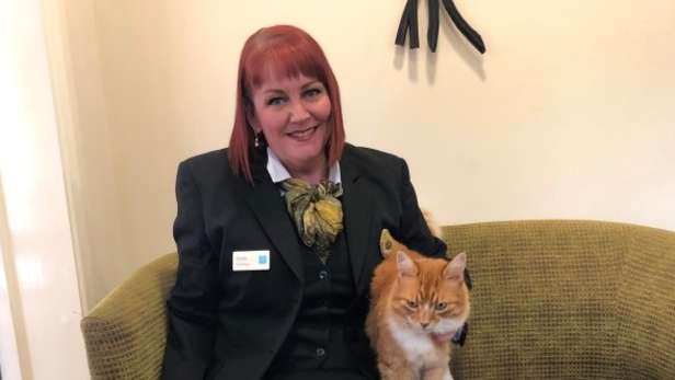paddy the cat with carole paton