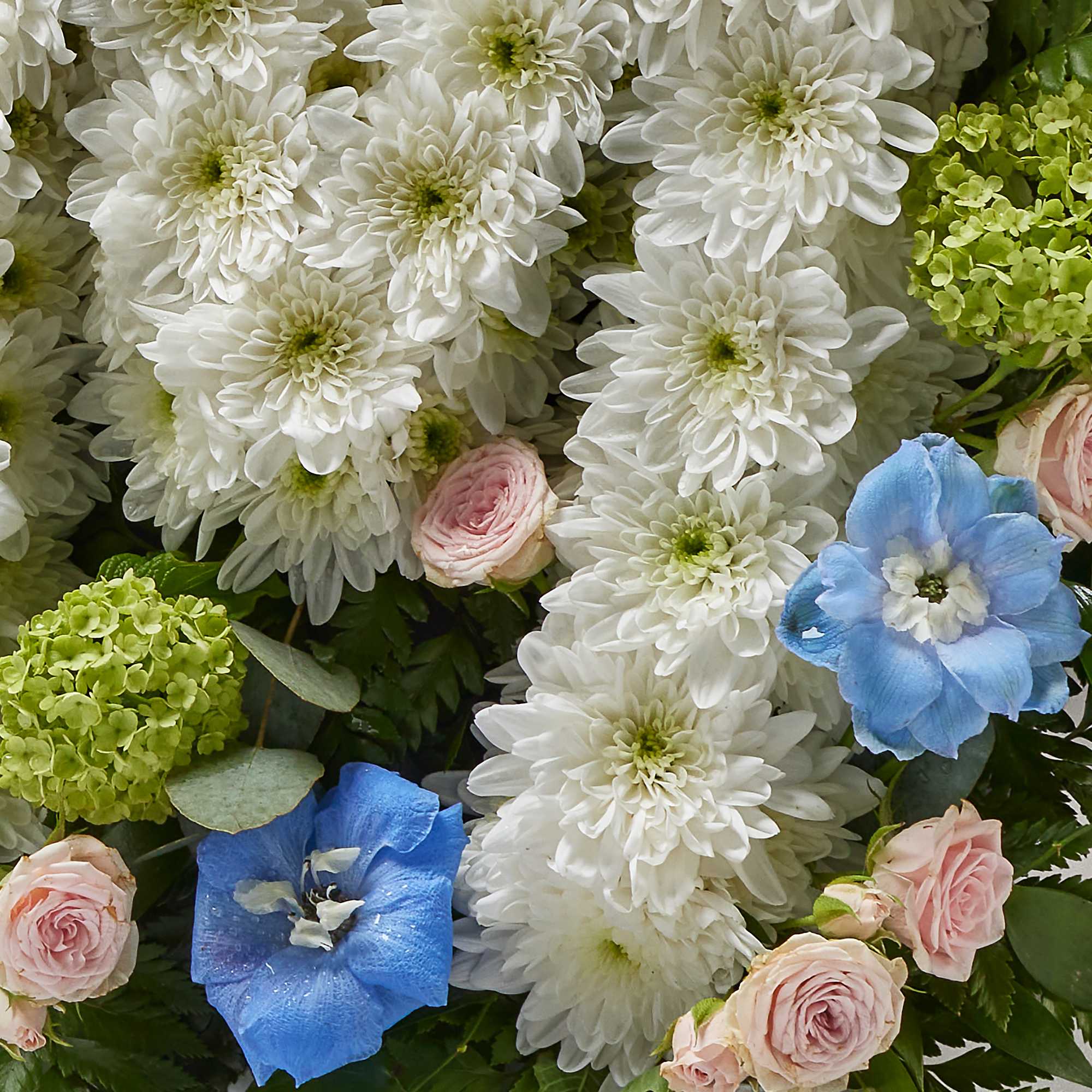 COP93966 Country Letters Pastel Mum Detail 03 11341 RGB RT