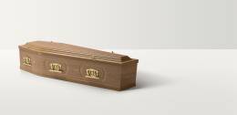 Full length image of a light oak coffin with brass handles and closures