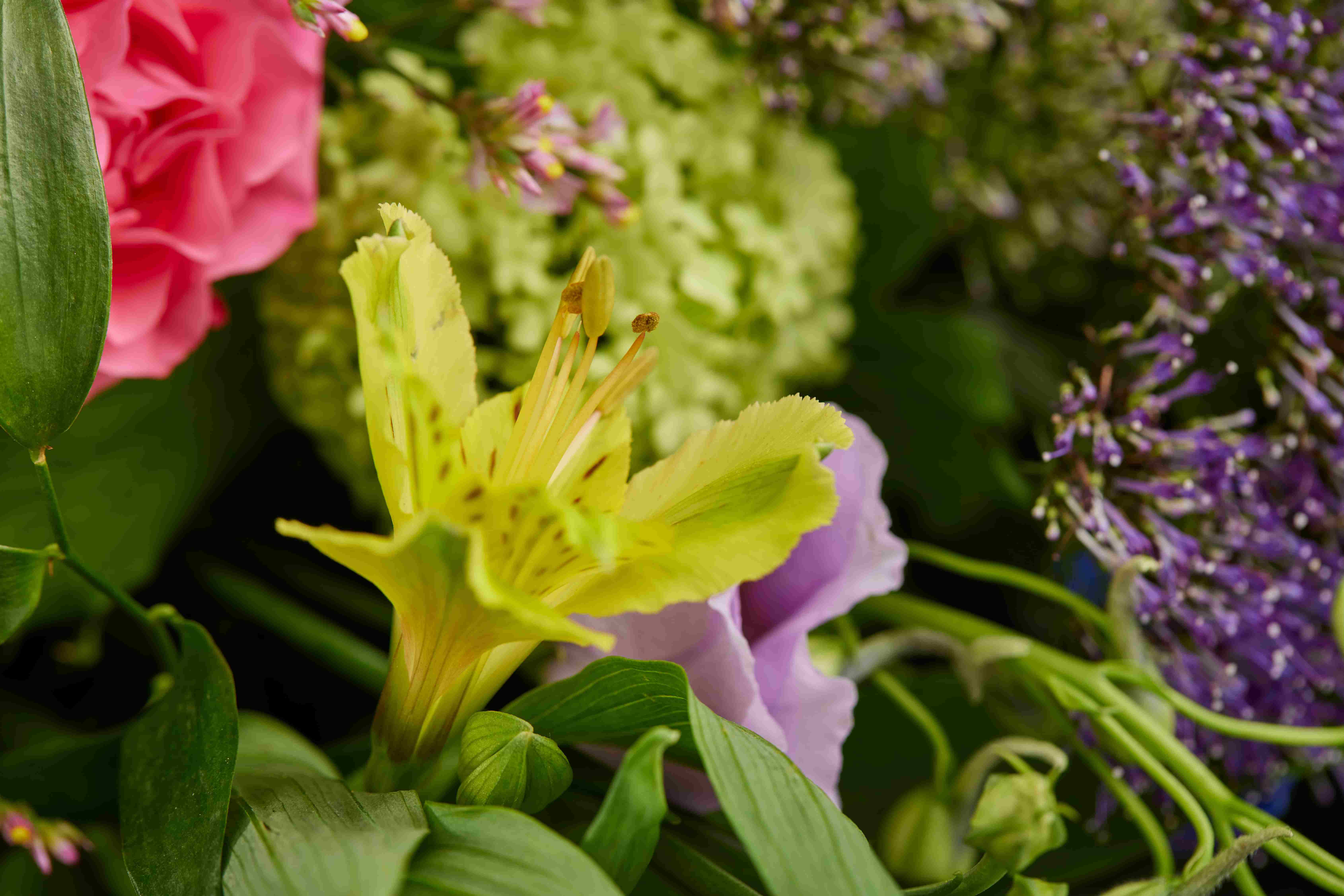 COP93966 CountryMixedCoffinSpray Brights Detail 22953 RGB 10 11zon