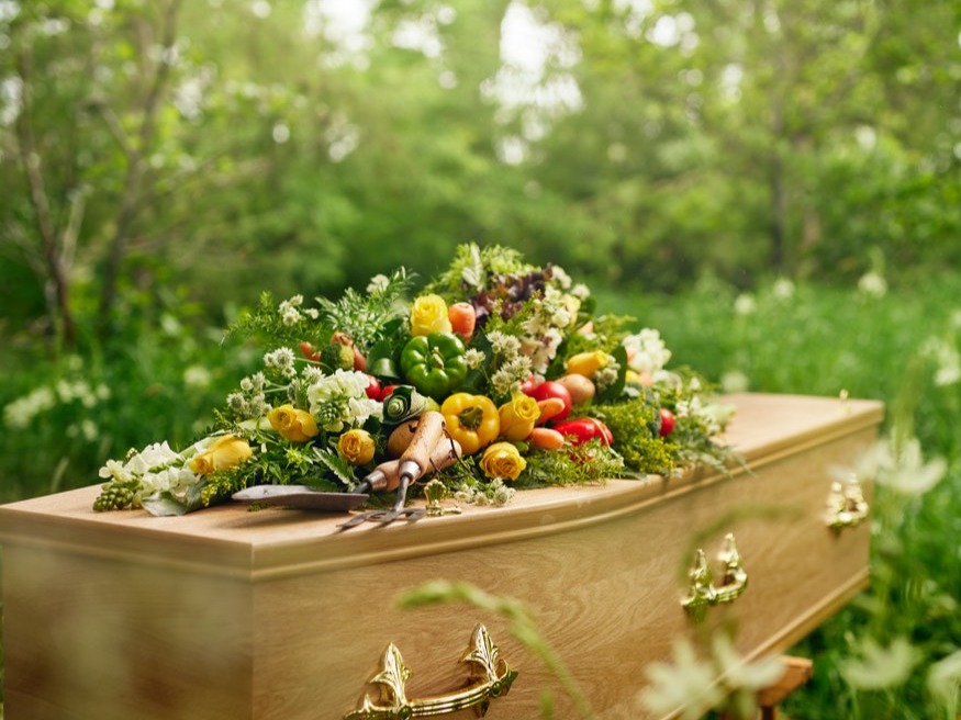 Vegetable Garden Spray