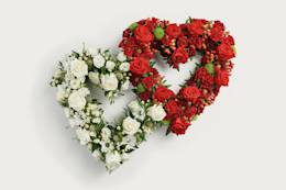 Red and white double heart shaped display