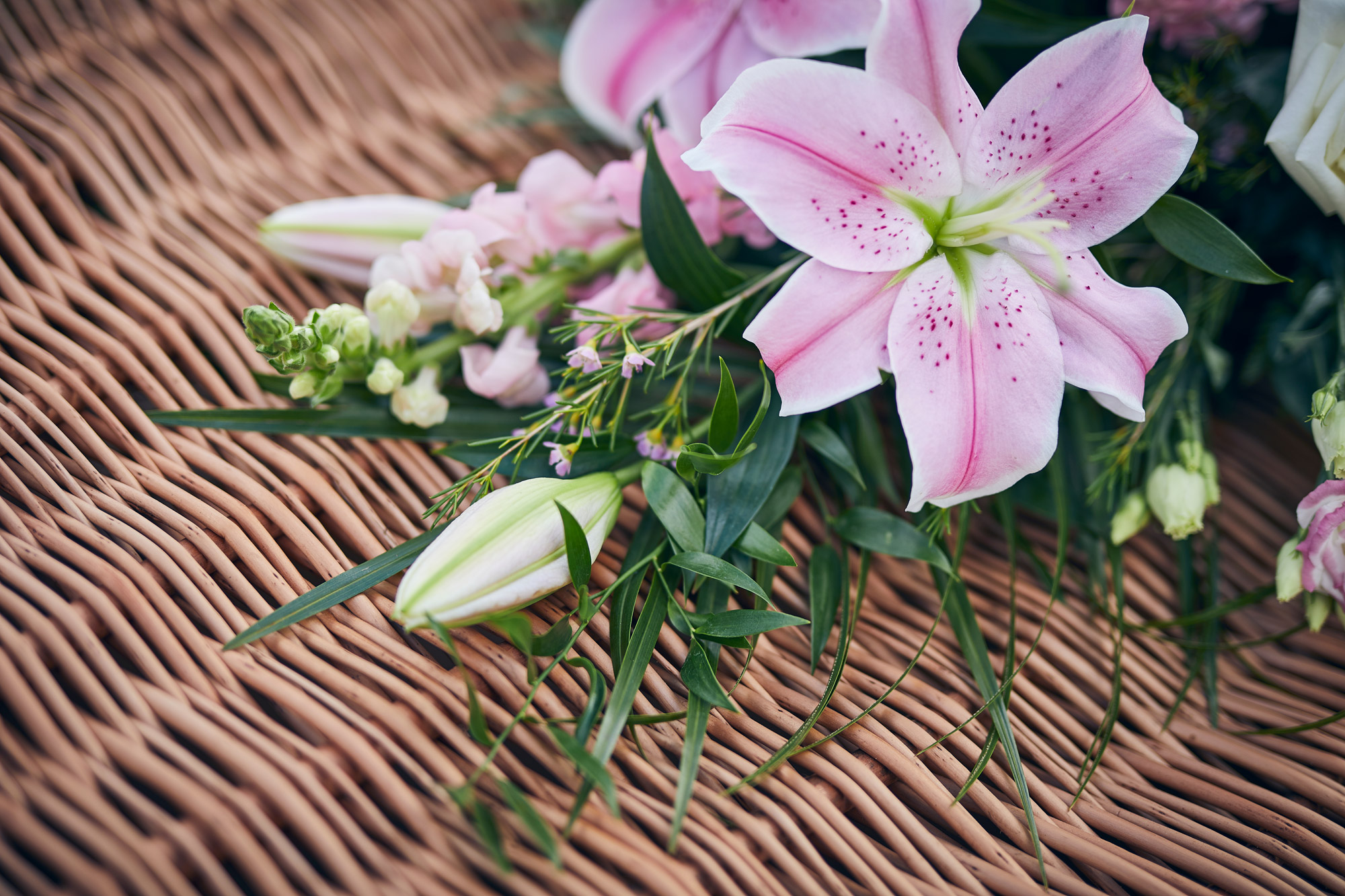 Zoomed in of eco coffin