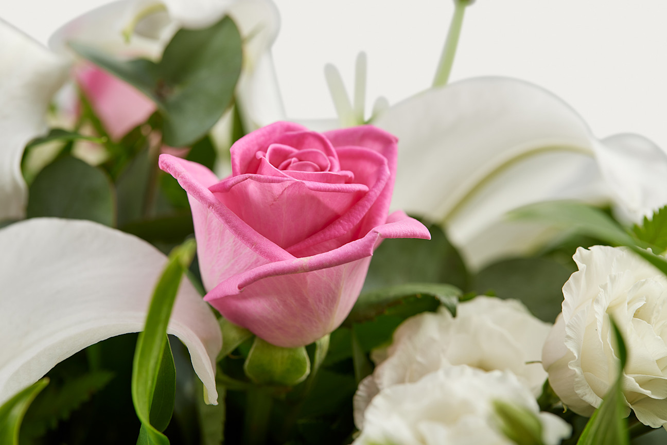 Zoomed in shot of pink and white rose and lily floral display 