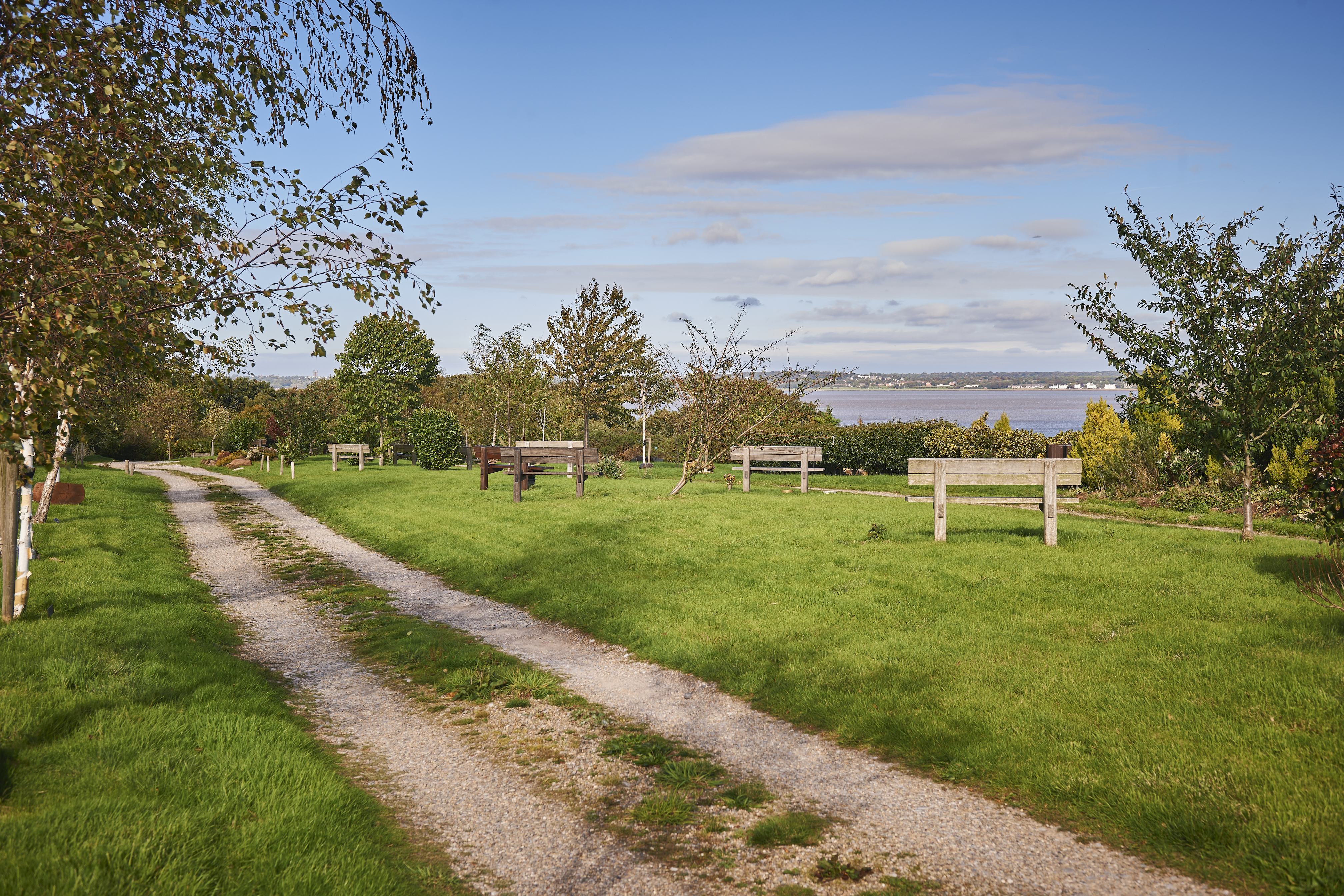 Natural woodland burial ground, with green fields and wooden park benches. 