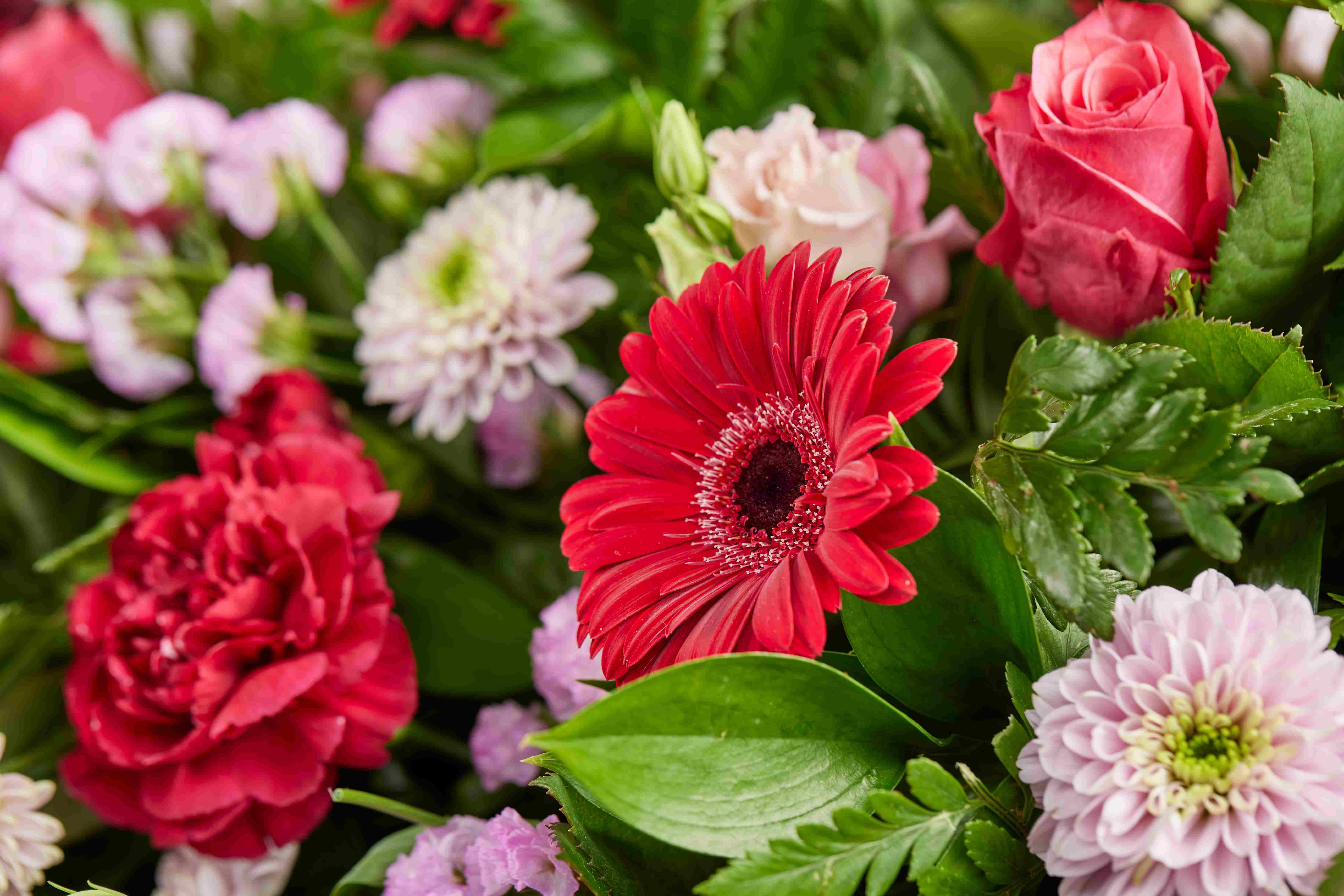 COP93966 TraditionalMixedCoffinSpray RedAndPink Detail 23331 RGB 3 11zon