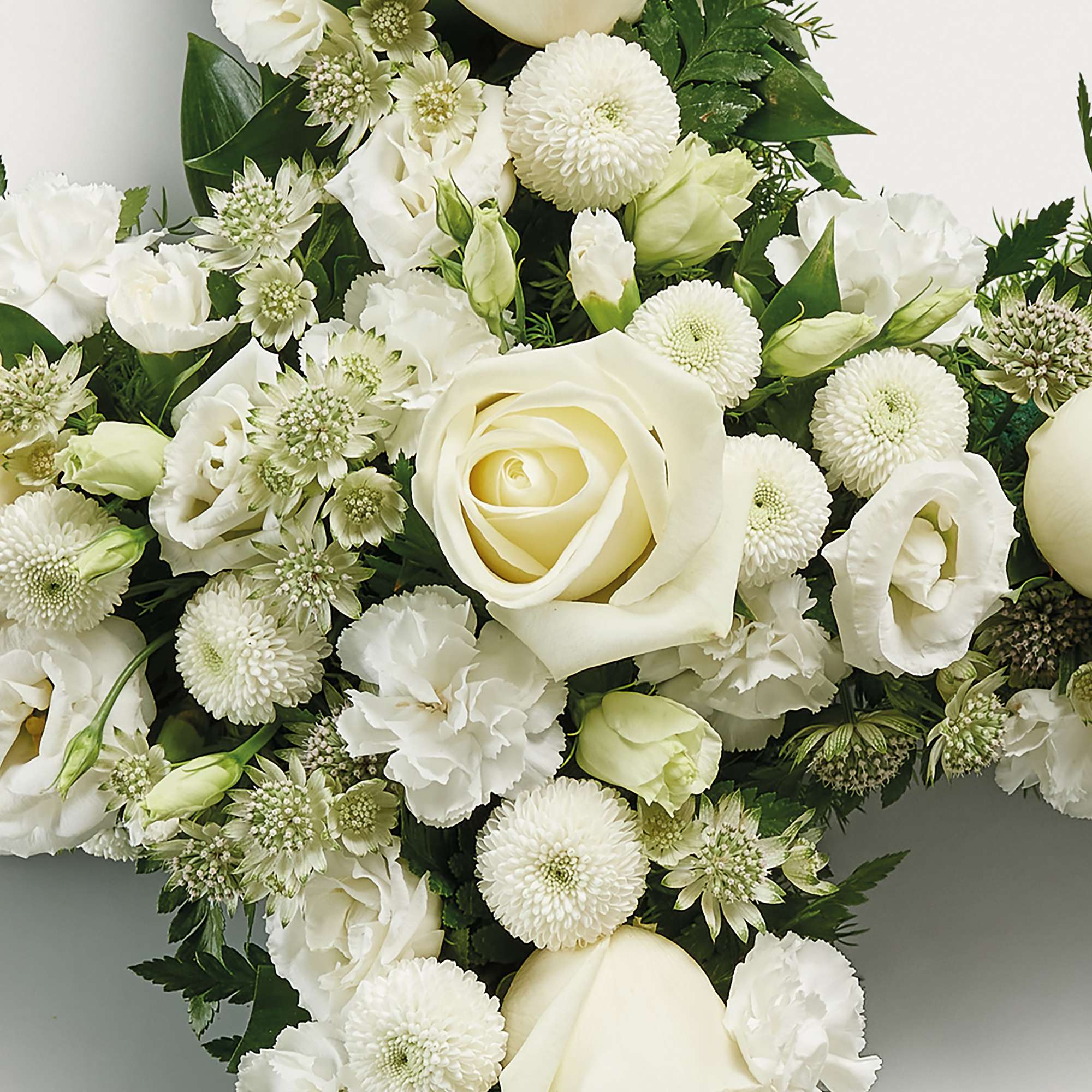 Zoomed in shot of white flowers in the shape of a cross 