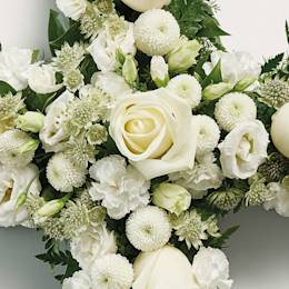 Zoomed in shot of white flowers in the shape of a cross 