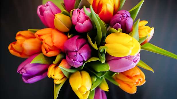 General enquiries - Form - Co-op Funeralcare