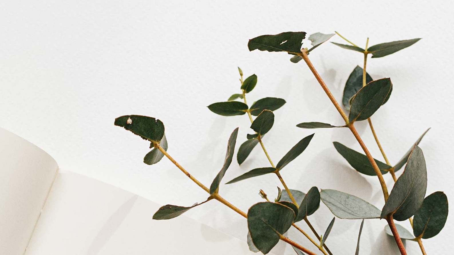 Hero_Branch_Page_2_Desktop