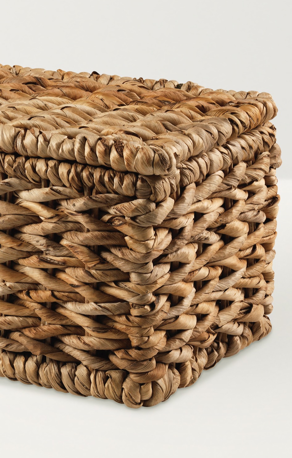 Water Hyacinth Memorial RET 1296x600px 300dpi[2]