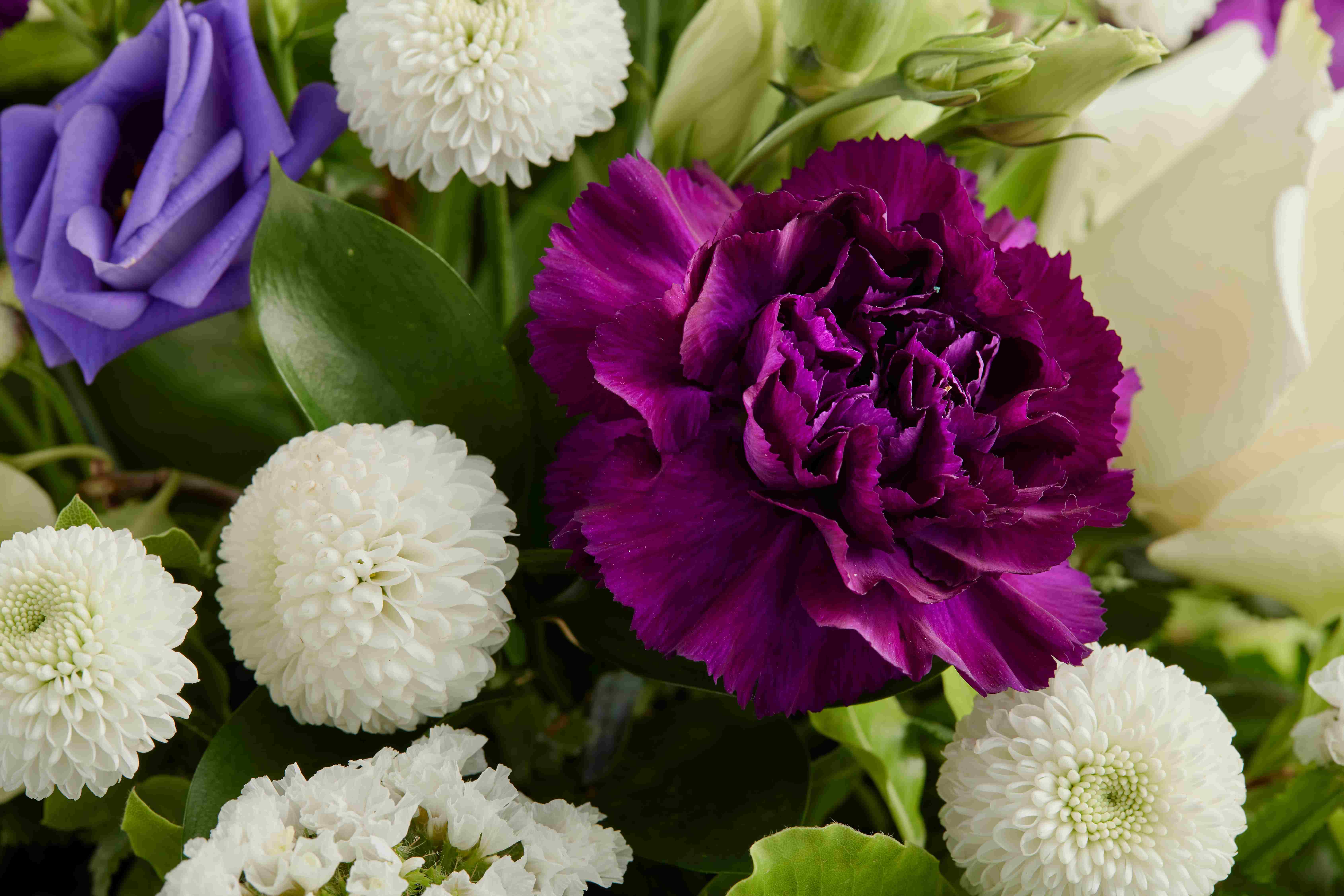 COP93966 TraditionalMixedPosy WhiteAndPurple Detail 22558 RGB 27 11zon