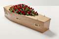 Zoomed out shot of red rose and carnation flowers on top of coffin