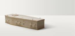 Full length image of pine coffin with pine handles and closures
