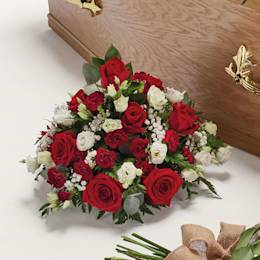 Zoomed in shot of red and white flowers 