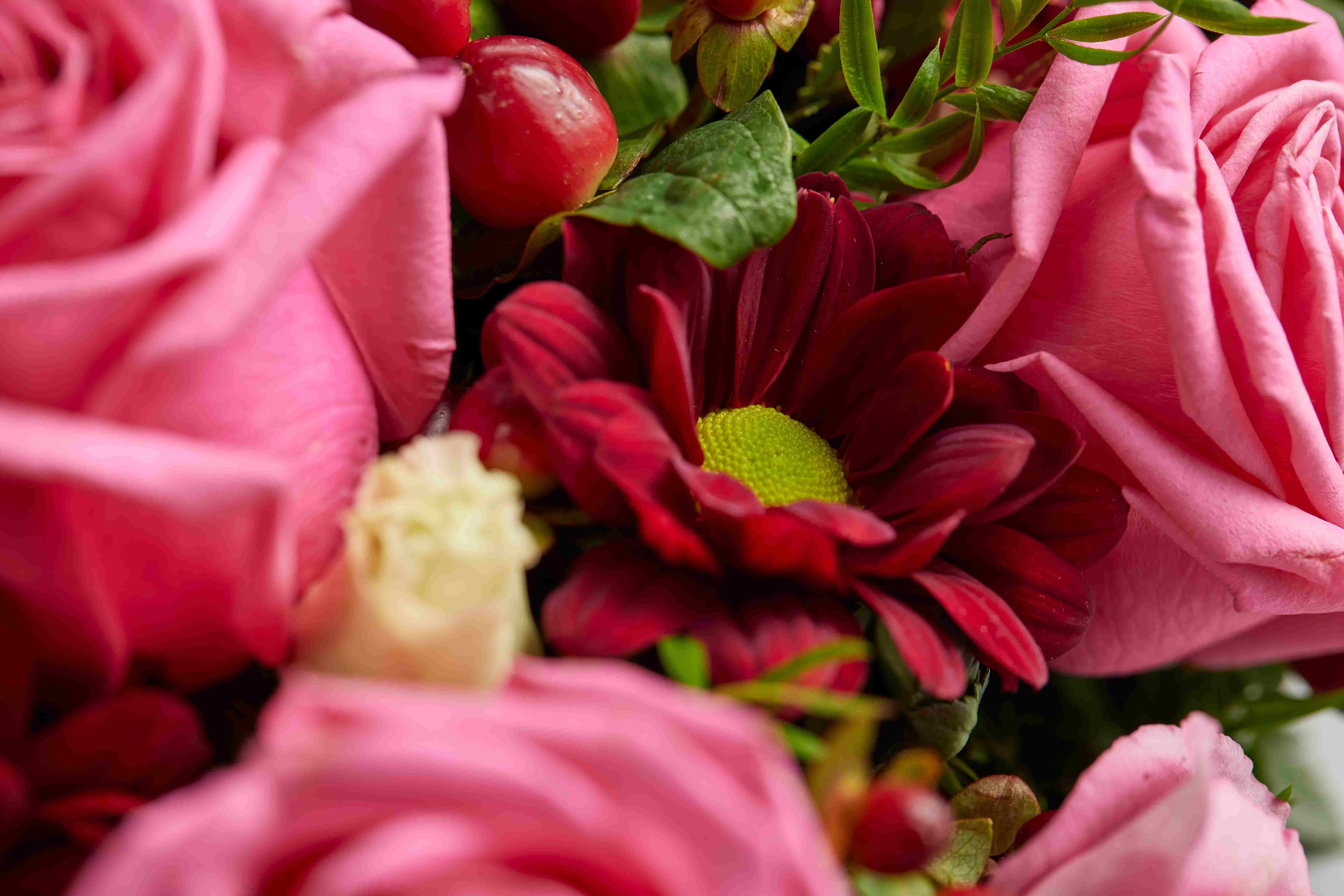 COP93966 FilledHeart PinkAndRed Detail 23649 RGB 16 11zon