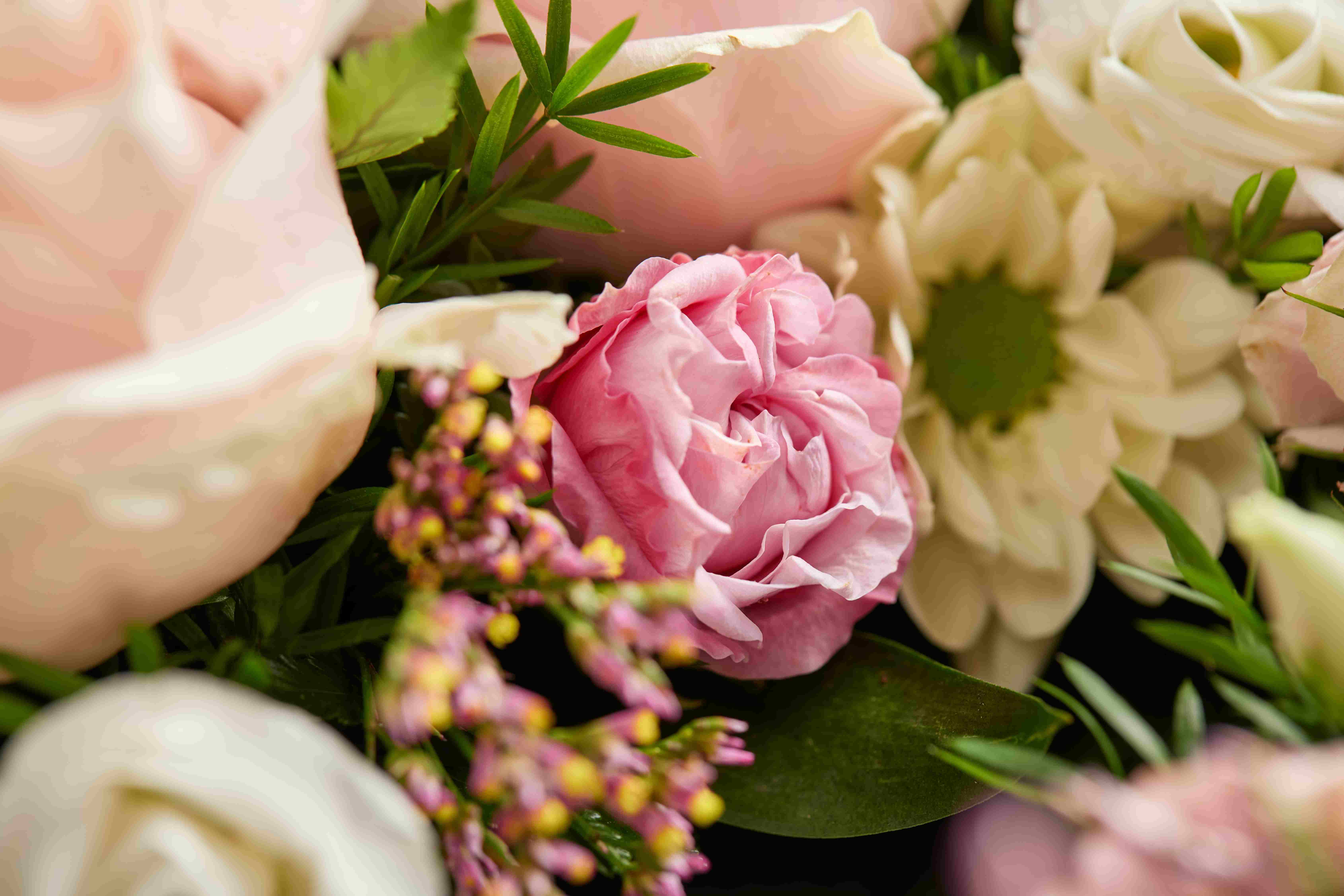 COP93966 OpenHeart PastelPink Detail 23618 RGB 18 11zon