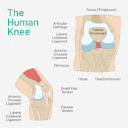 Why Does My Knee Hurt During Or After Running 