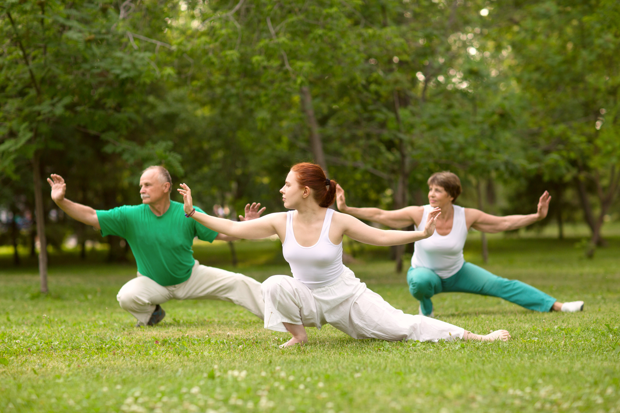 people practicing tai chi in a park or green open space