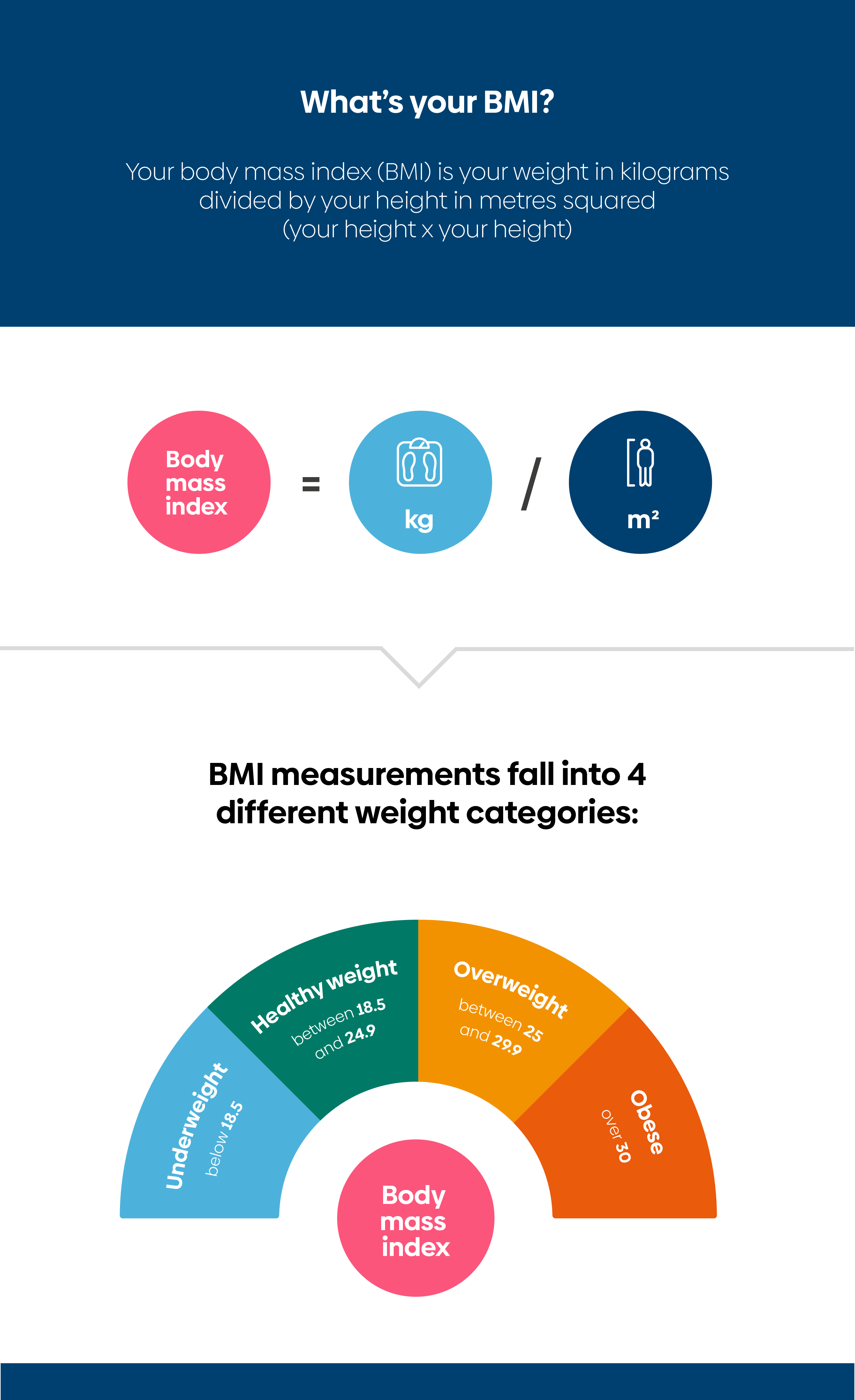 BMI Infographic v3-01