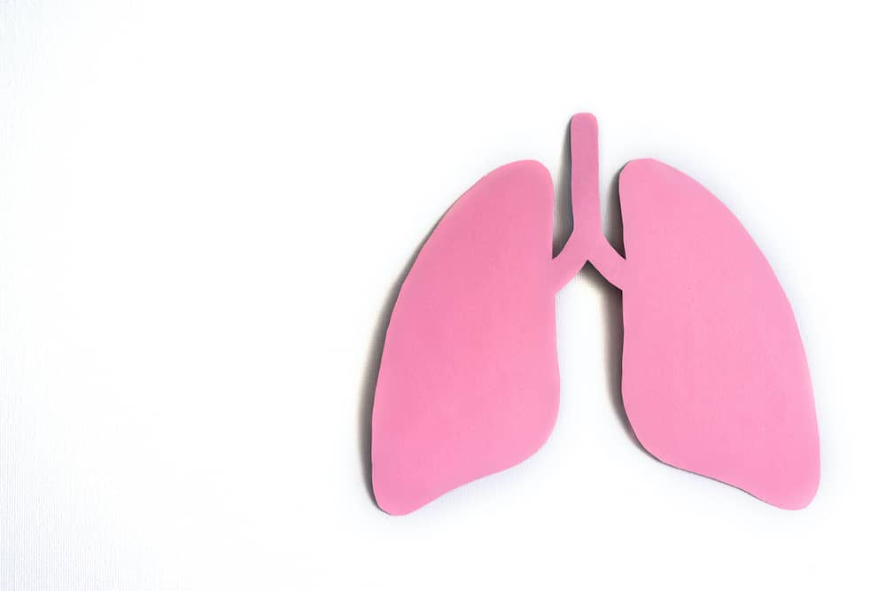 Pink paper lungs on white background highlighting lung cancer