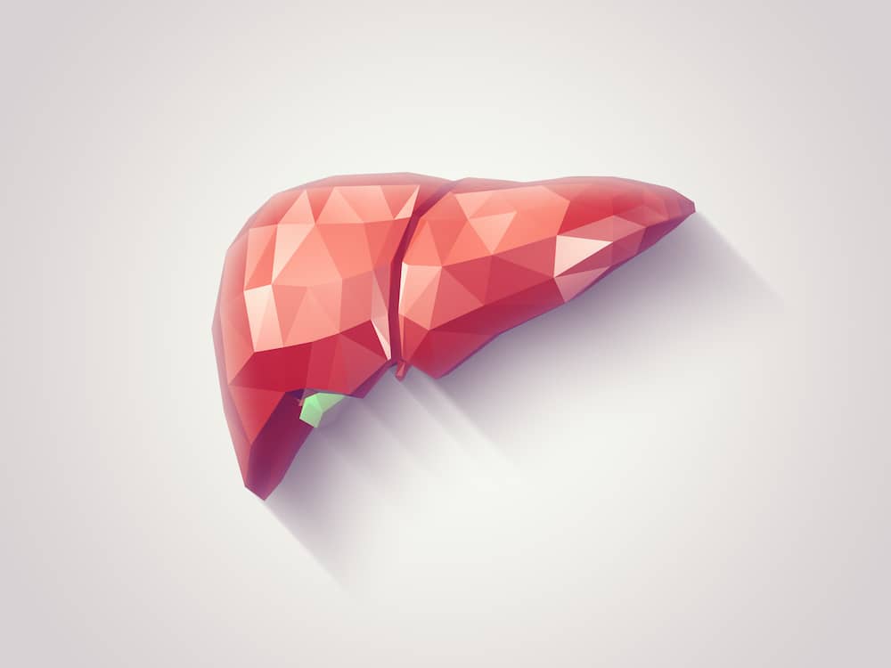 Geometric illustration of a liver on white background to represent nonalcoholic fatty liver disease