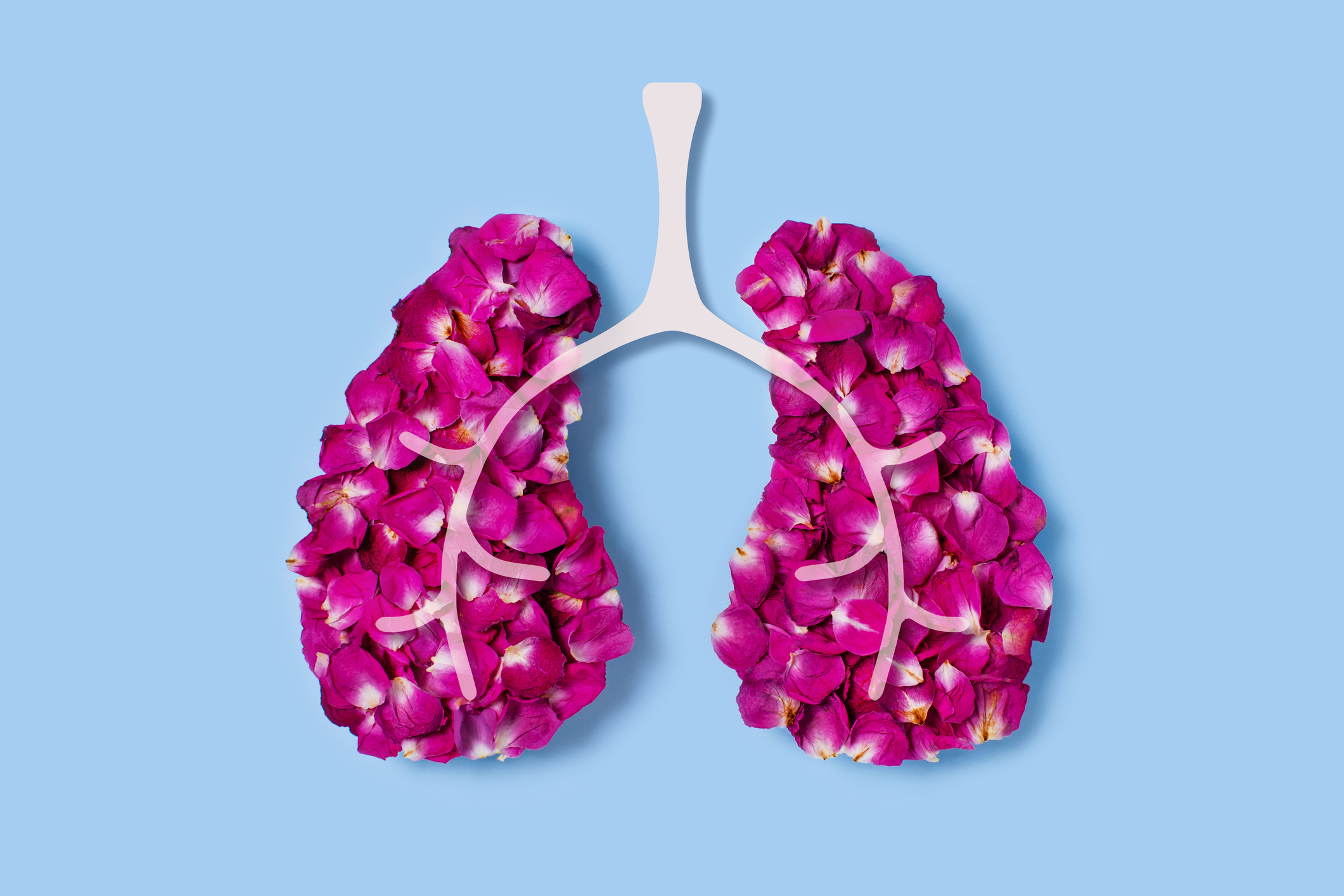 Enfermedades de los pulmones