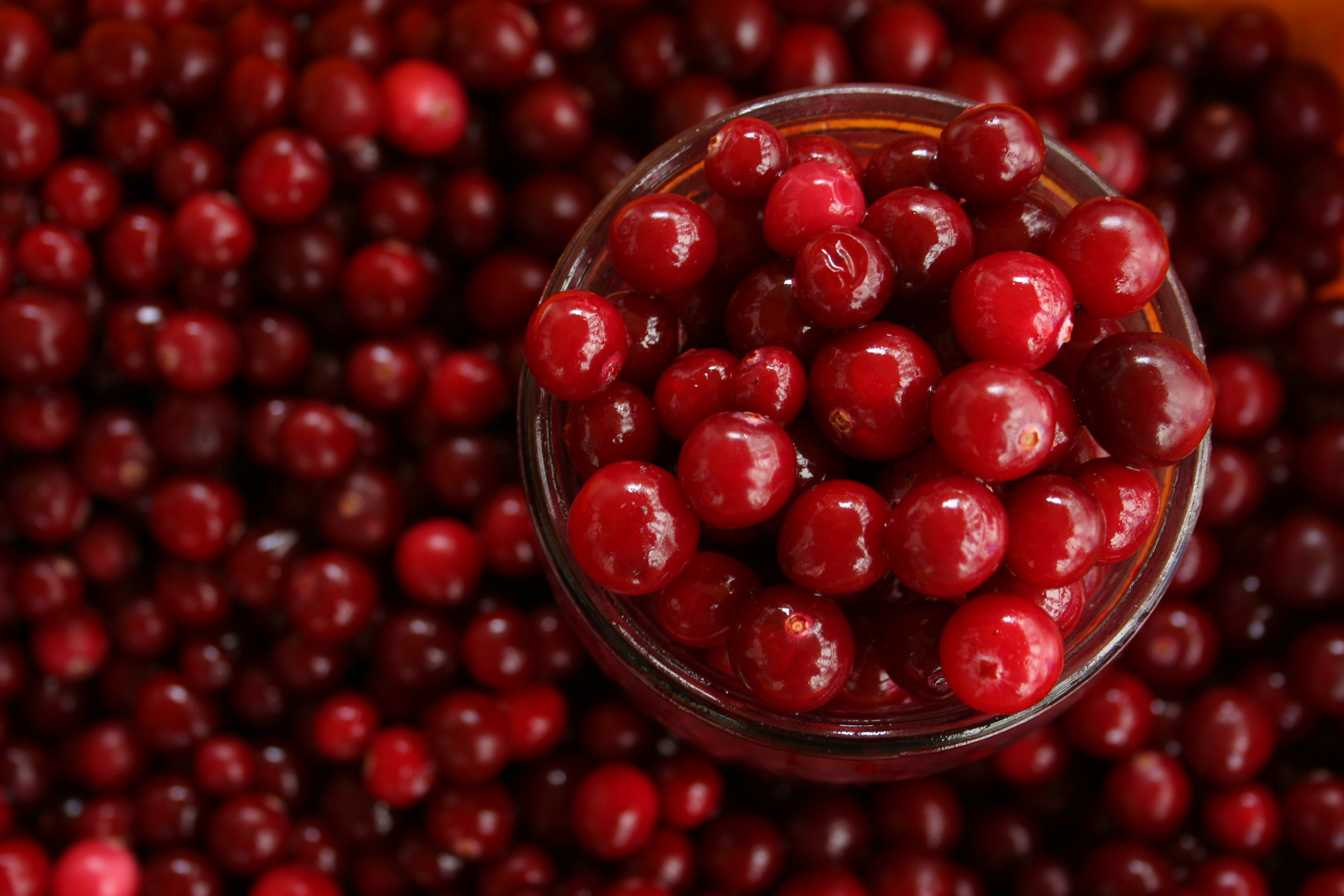 Photograph of cranberries in a pile and a glass
