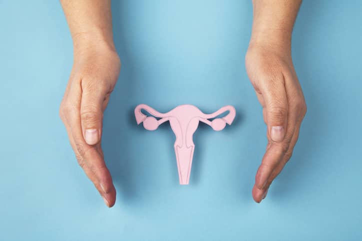 Paper cut out of the female reproductive system with hands either side