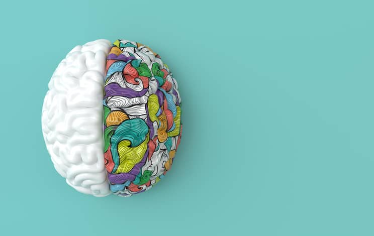 Model of a brain, half white, half colourful drawn patterns
