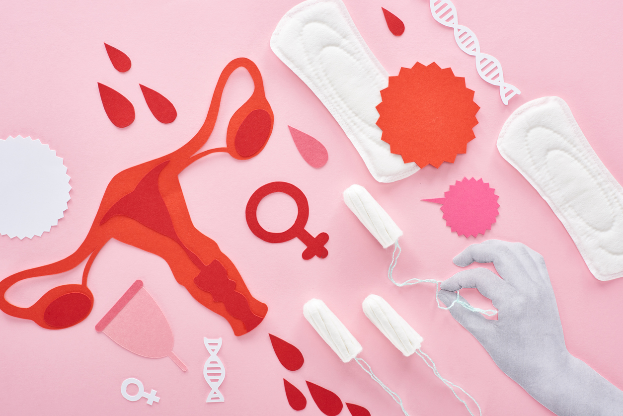 Period products and paper uterus