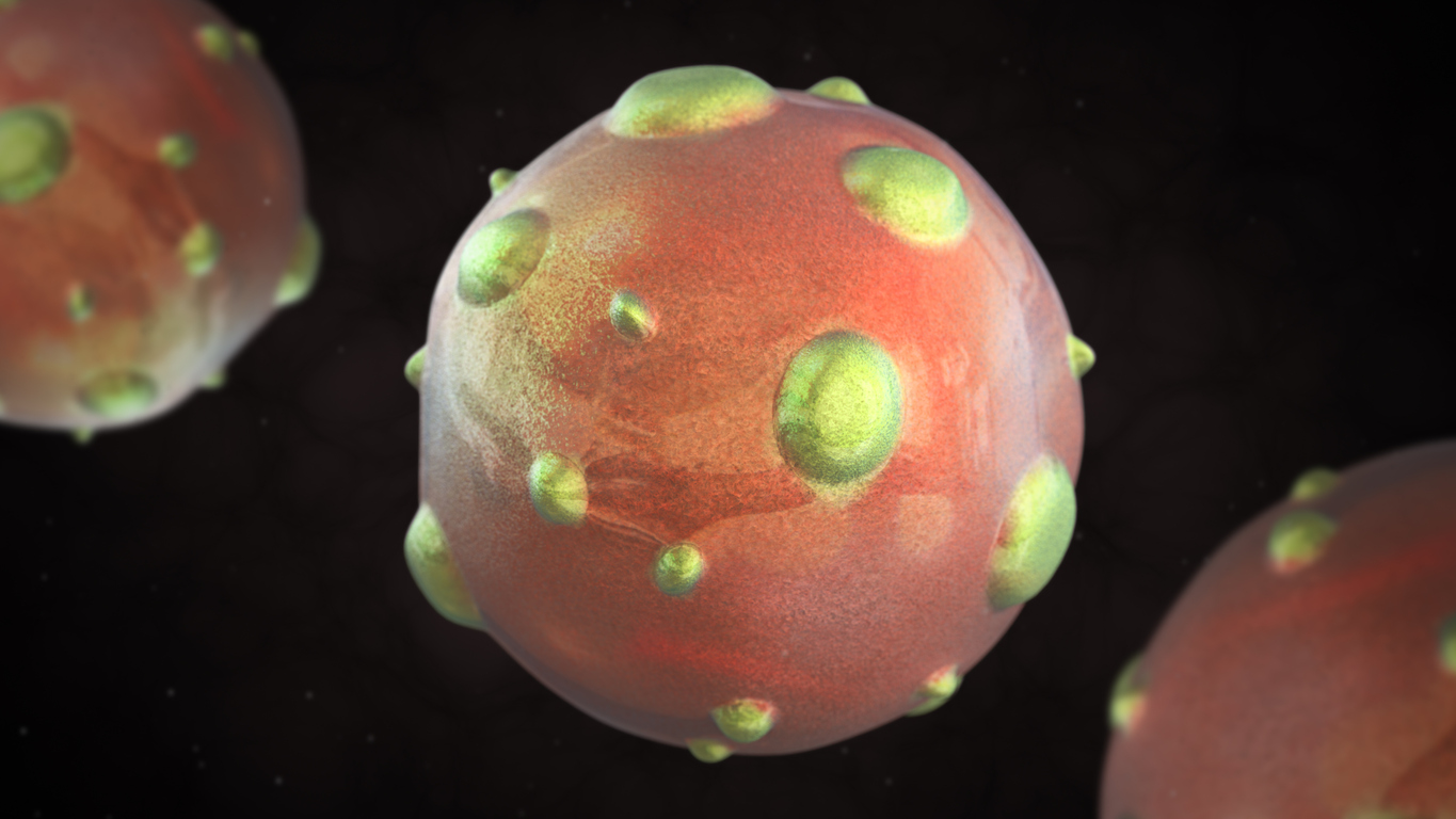 3D generated close up of hantavirus virus