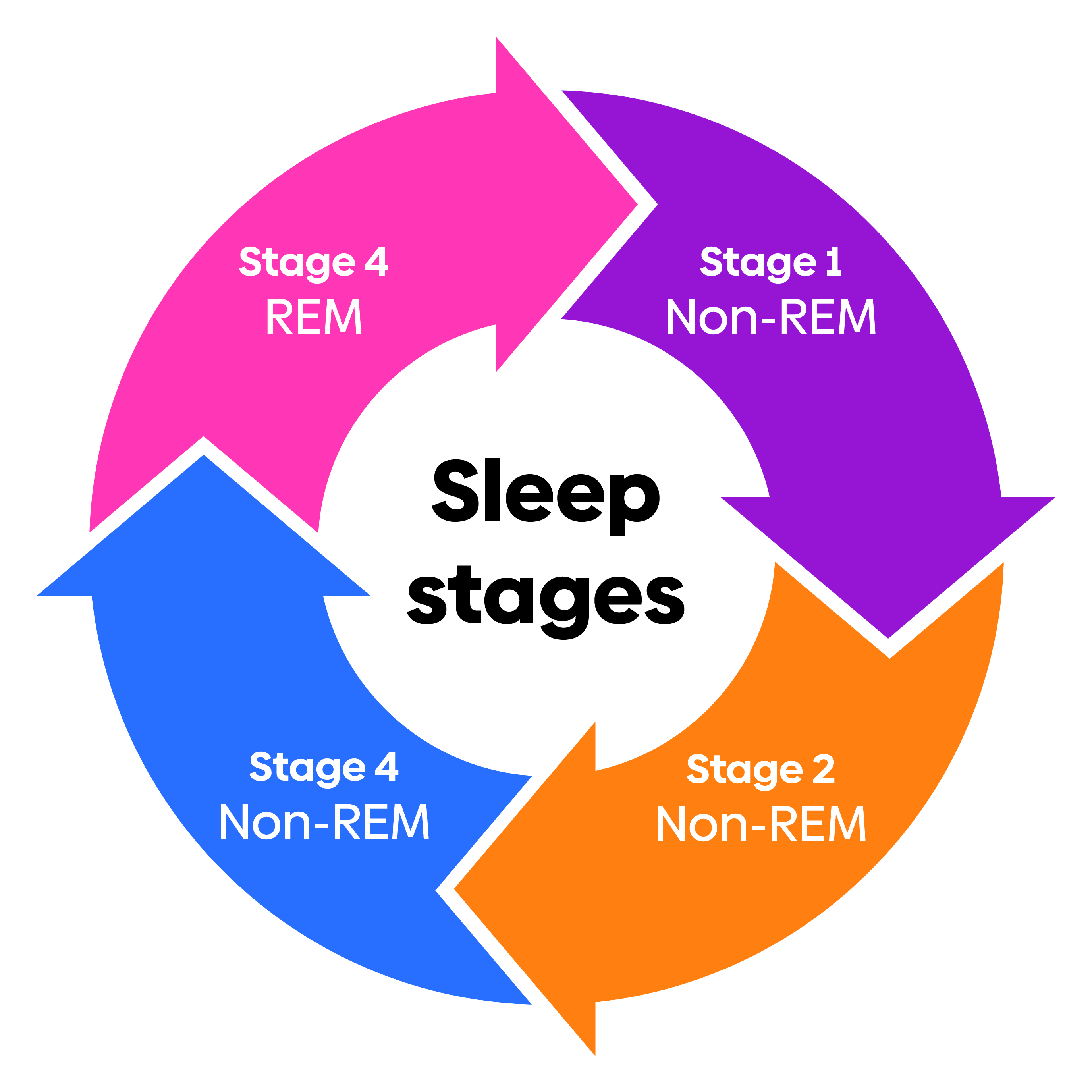 Sleep stages
