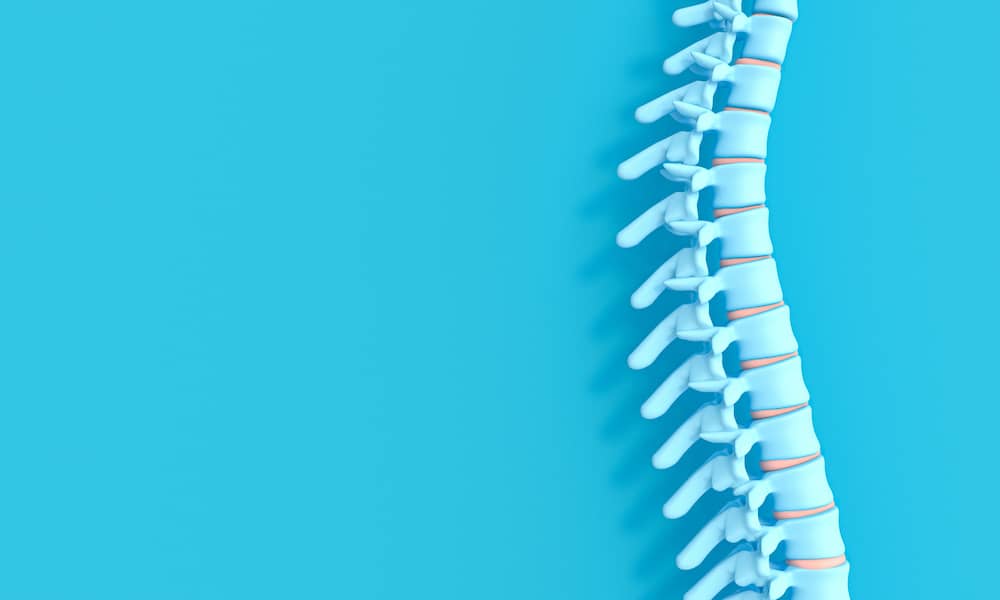 3D model of spinal cord on blue background