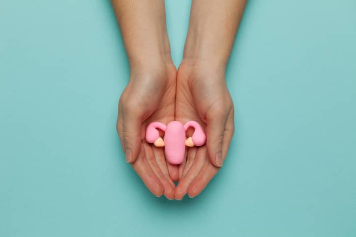 Hands holding model of female uterus on blue