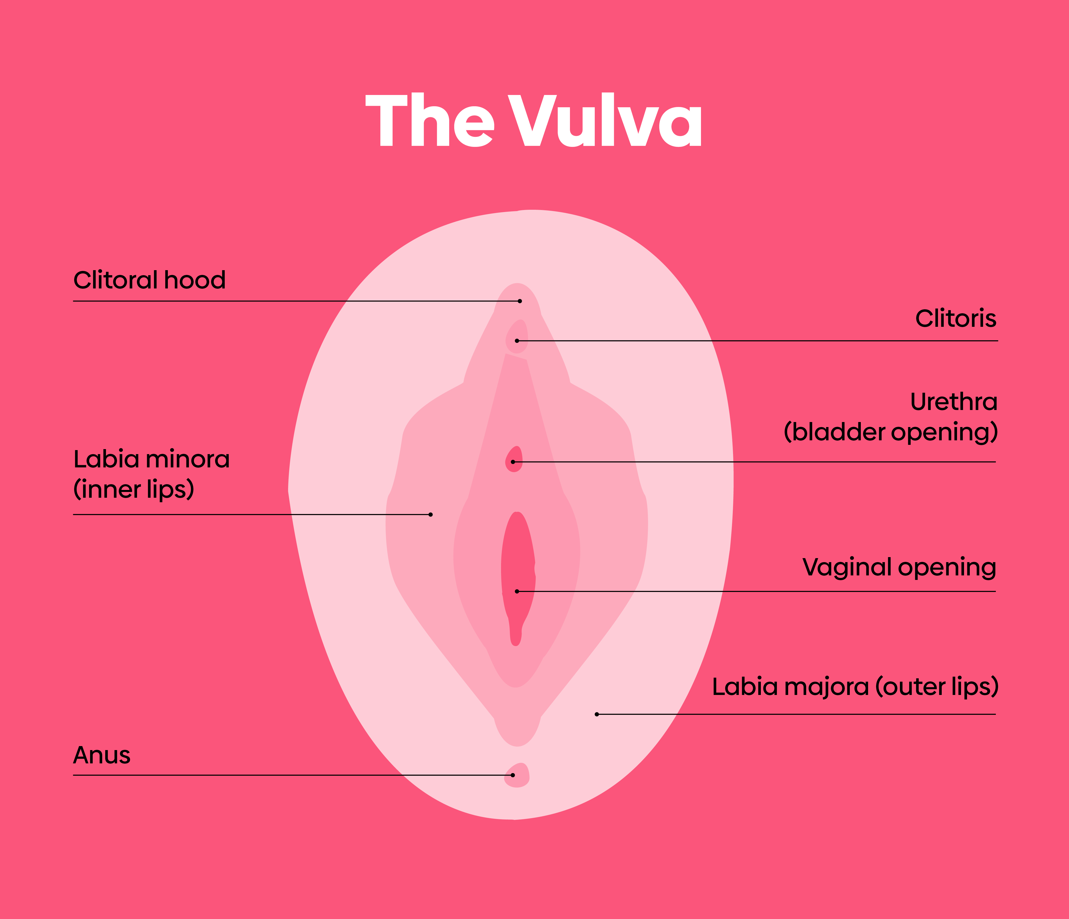Changes in the Vagina and Vulva, Sexual Side Effects of Menopause