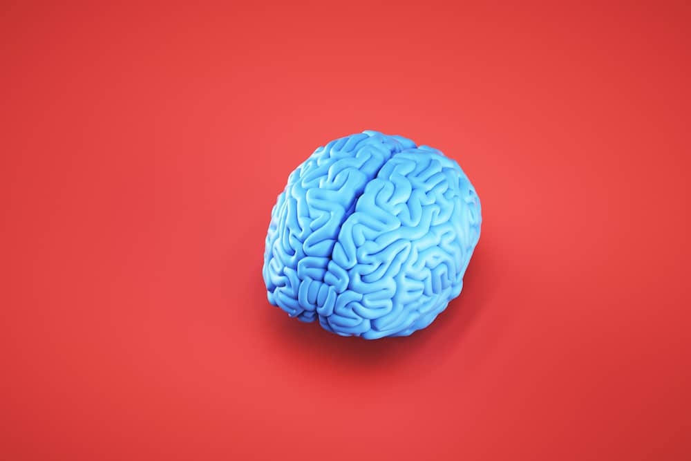 3D model of blue brain on red background