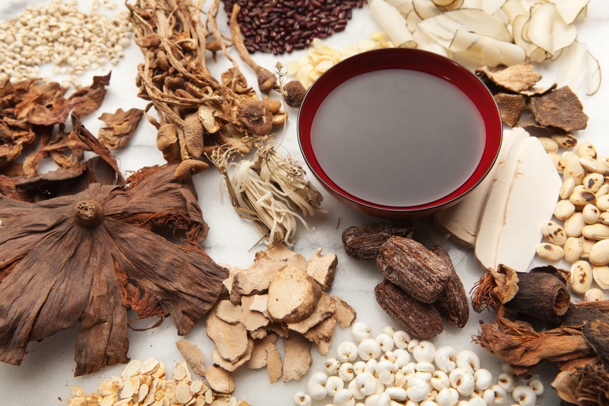 collection of Chinese herbal medicines on a white background