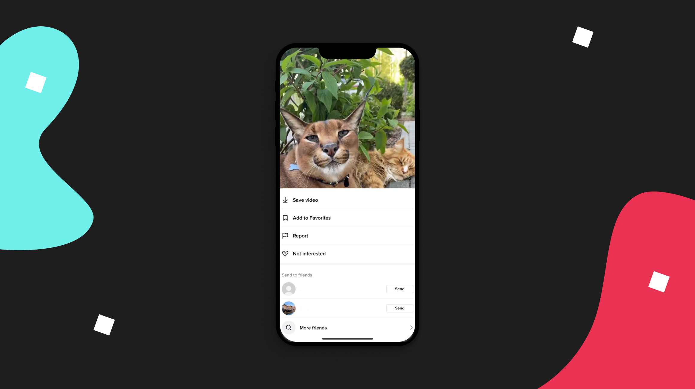 TikTok feedback screen