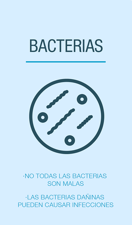 Bacterias