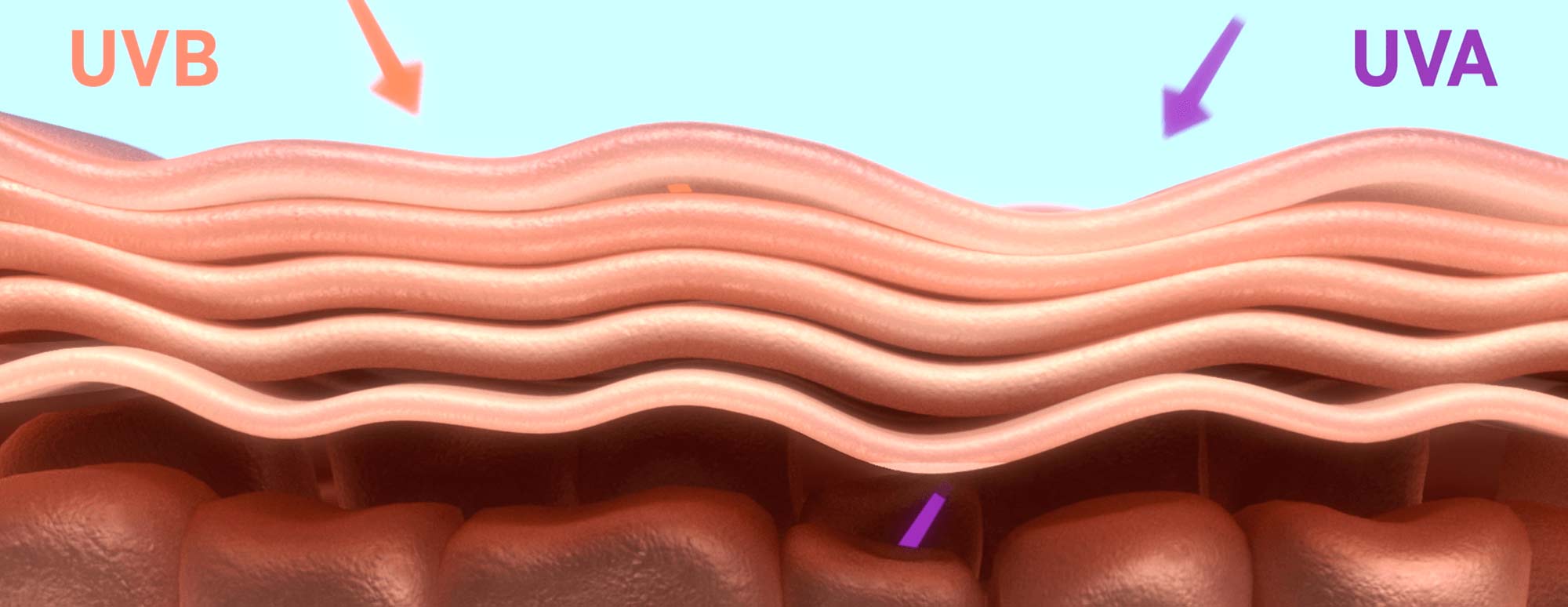 DESCUBRE UNA FÓRMULA EXCLUSIVA QUE PROTEGE CARA Y CUERPO DEL SOL - Image 2 - Lubriderm - es-MX