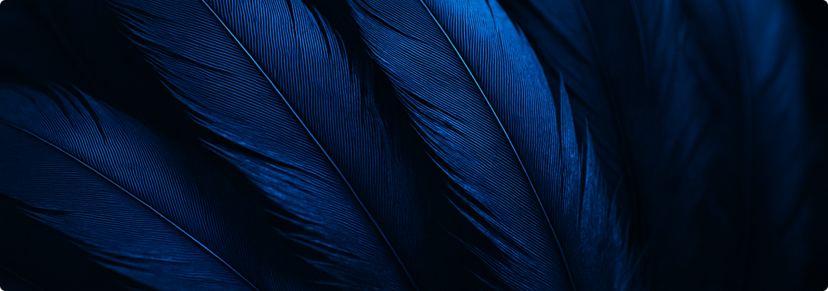 Sanlam 2025 Interim Results