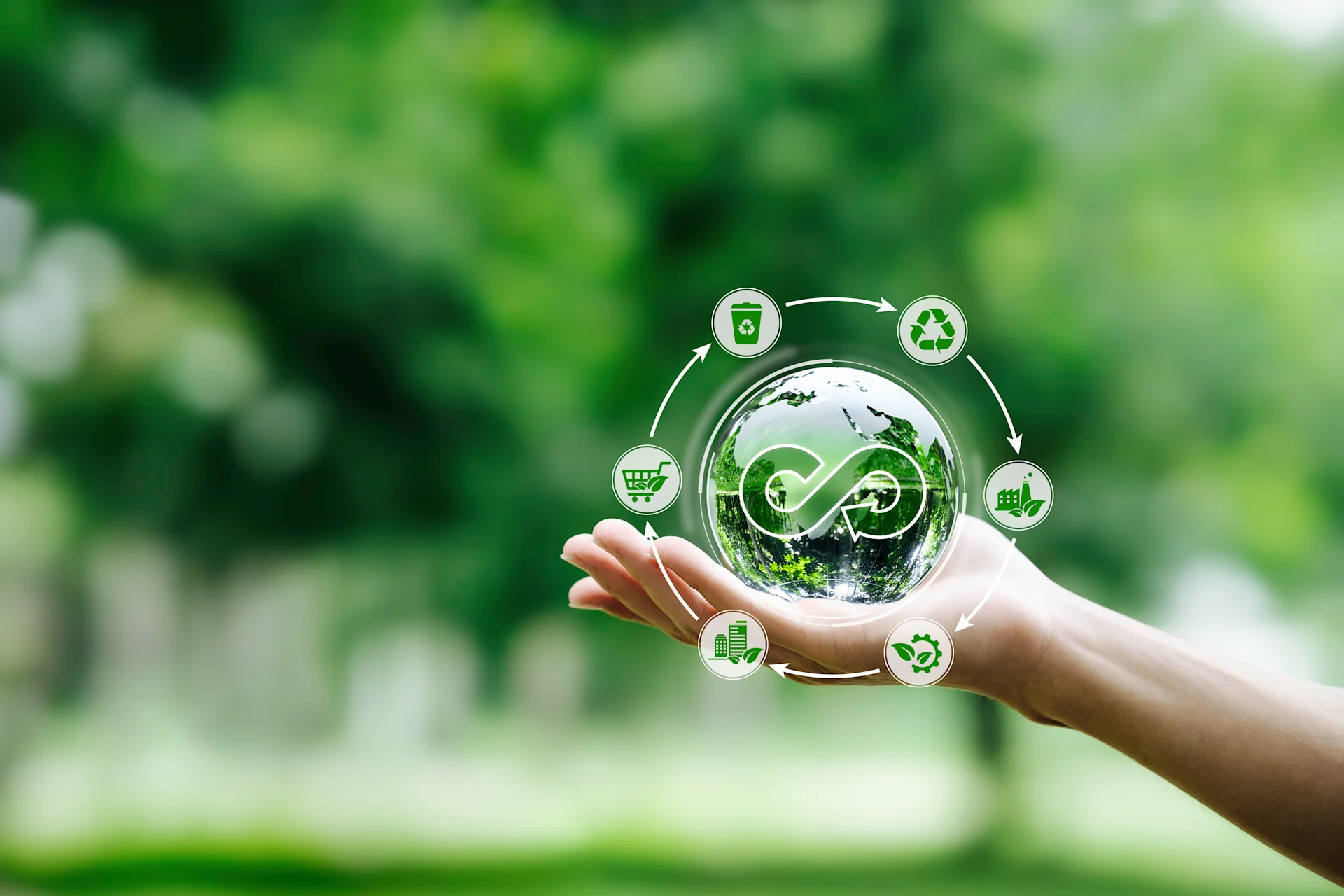 iStock-1495016154 iStock-1495016154