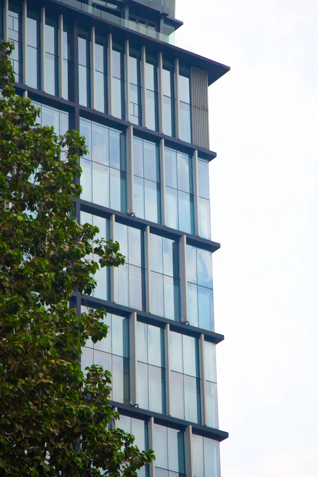 who-we-are who-we-are